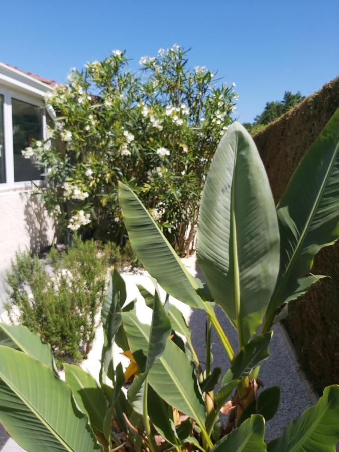 Angresse Le Soleil Couchant מראה חיצוני תמונה